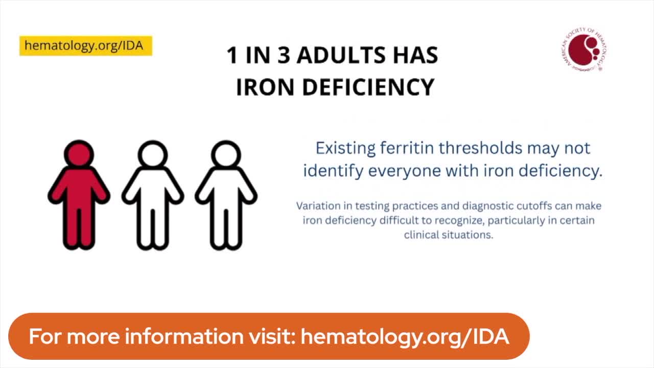 Hematology | Morning Blend