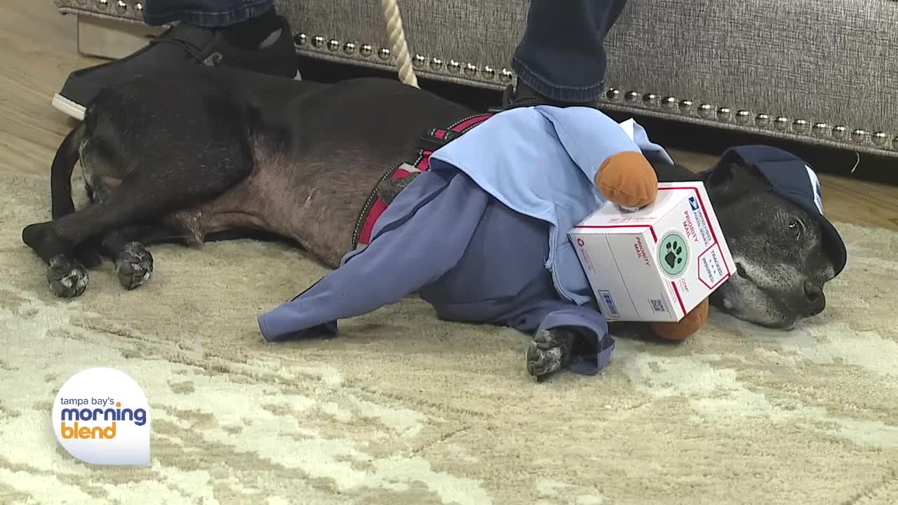 Howl-O-Ween | Morning Blend