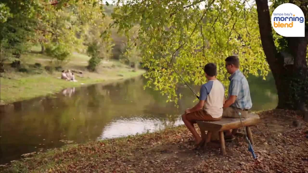 Fall Travel | Morning Blend