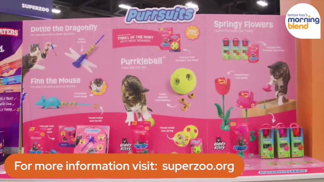 Super Zoo | Morning Blend