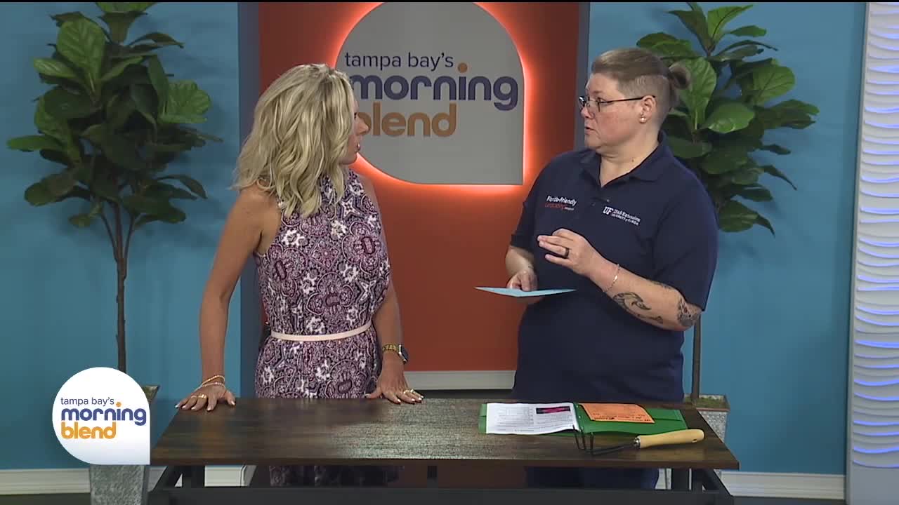 Rooted in Florida | Morning Blend