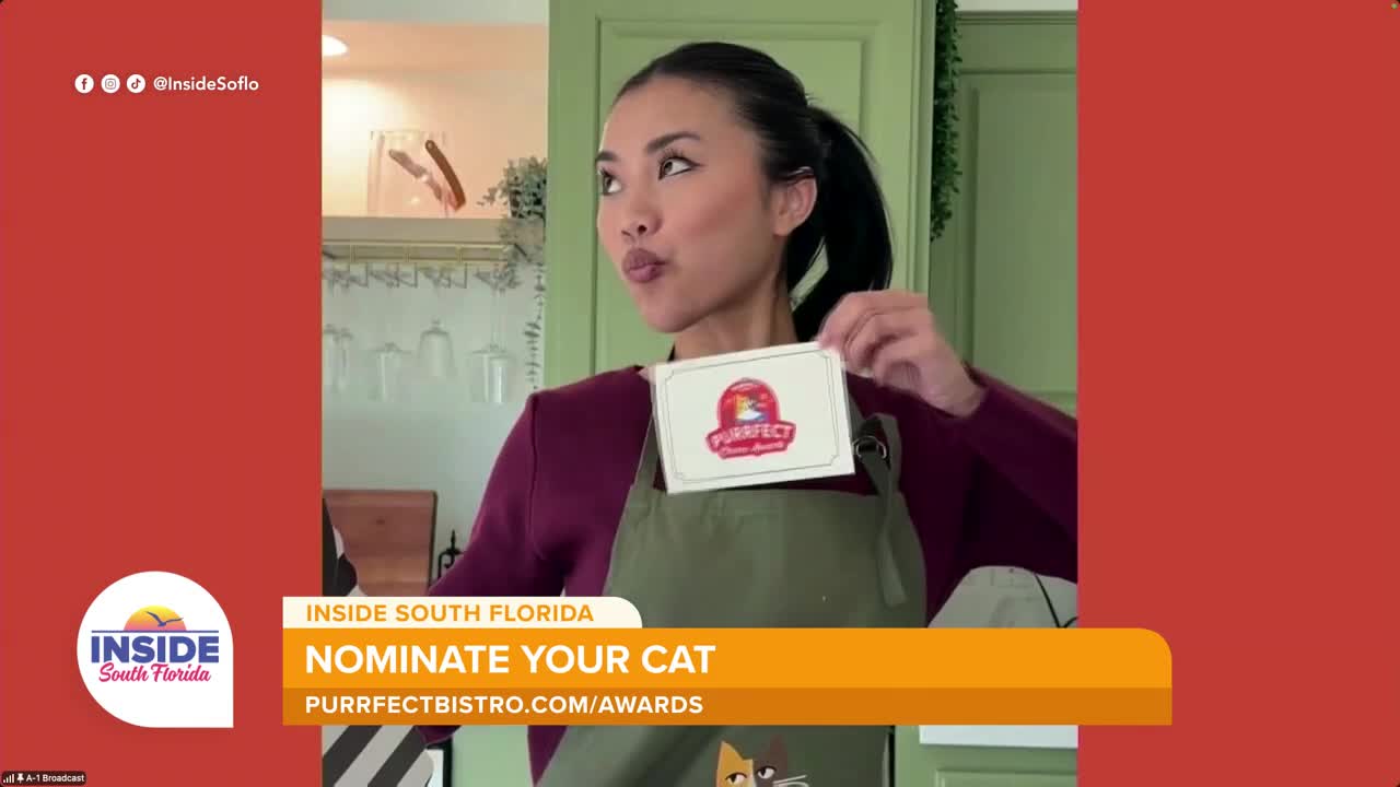 Nominate your cat for the inaugural Purrfect Choice Awards before July 5 deadline