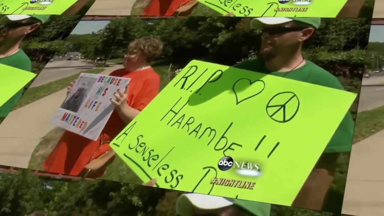 poster_e8ccb87af66248288792e04af551ead2.jpg