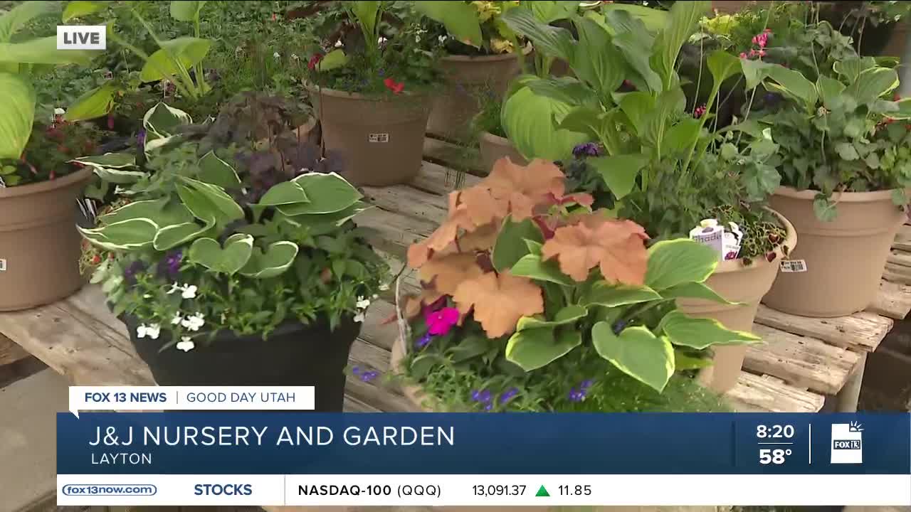 J&J Nursery and Garden Center in Layton