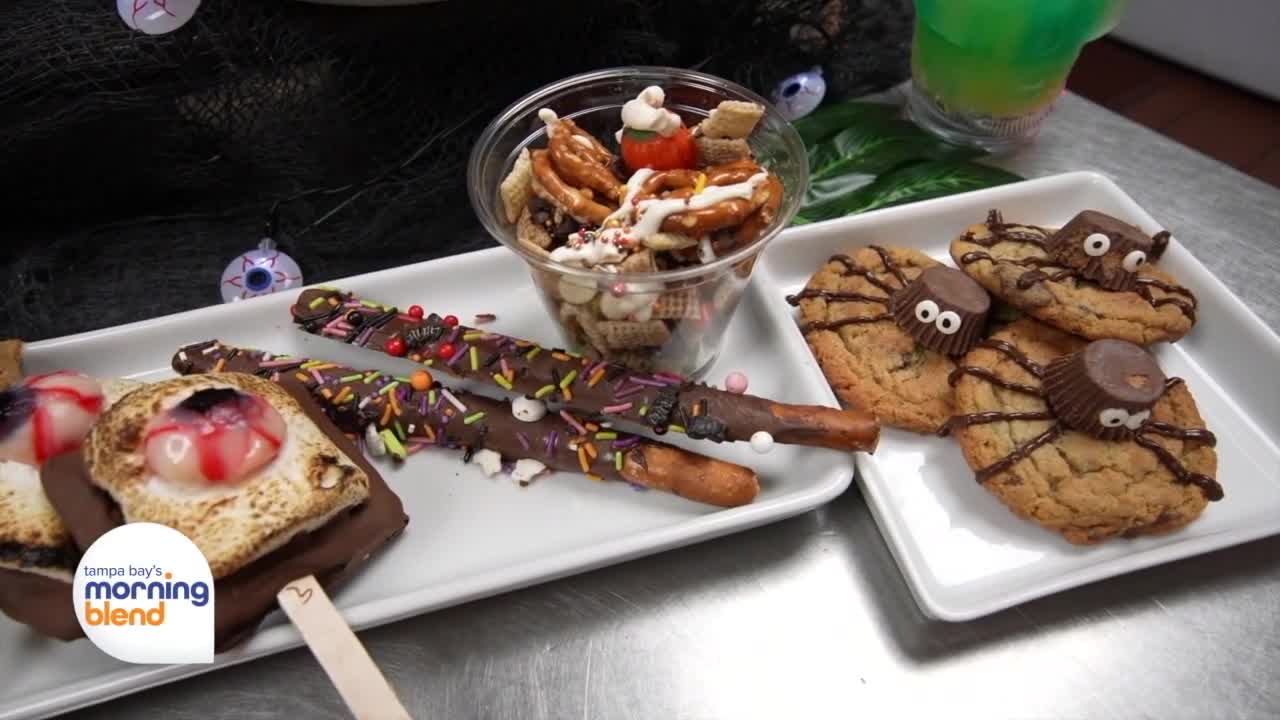 ZooTampa | Morning Blend